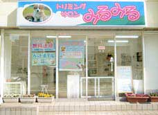 ﾄﾞｯｸﾞｻﾛﾝみるみるは千葉県習志野市鷺沼の清潔な明るい店内でﾄﾘﾐﾝｸﾞ＆お預かりいたします。